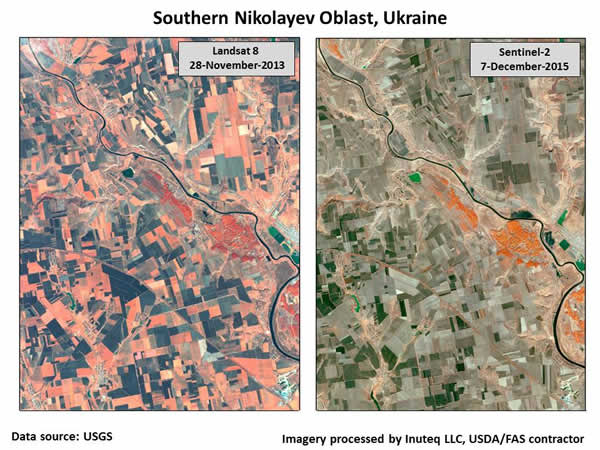 False-color infrared satellite imagery shows the striking difference in sown winter-grain area and crop emergence between autumn 2013 (which was marked by favorable establishment conditions) and autumn 2015 (when fall drought prevailed).  