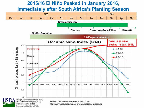 Figure 9. 2015/16 El Niño peaked in January 2016 which is immediately after South Africa’s planting season.