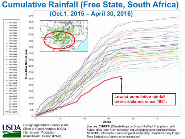 Figure 3. Cumulative Rainfall over Croplands for Free State province, South Africa.