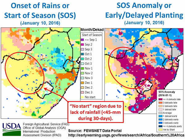 Figure 4. Start of Season (SOS) and SOS Anomaly (i.e., planting delay) in South Africa’s western corn belt.
