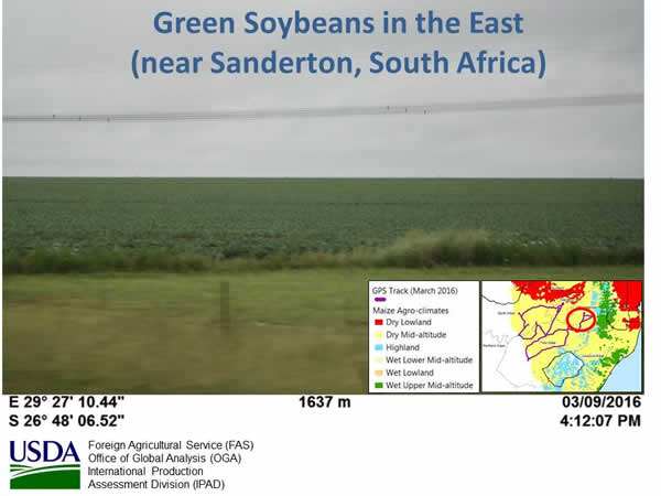 Figure 9. Green fields in the east (near Sanderton, Mpumalanga, South Africa).
