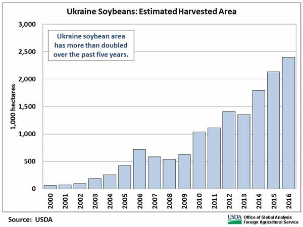 Ukraine soybean area has more than doubled over the past five years.
