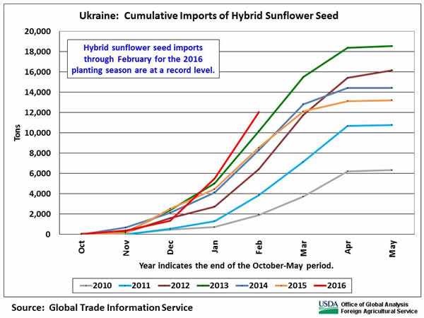Hybrid sunflower seed imports through February for the 2016 planting season are at a record level.  