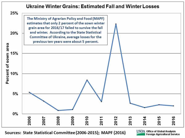 Combined fall and winter area losses typically range between 2 and 10 percent.  The Ministry of Agrarian Policy and Food estimates that only 2 percent of the sown winter grain area for 2016/17 failed to survive the fall and winter.  