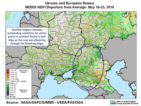 Satellite imagery indicates outstanding conditions for winter grains in southern Russia in mid-May, as the crop was advancing through the flowering stage. 