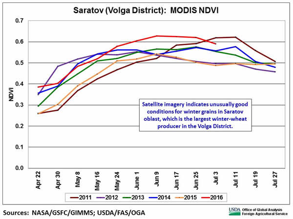 Satellite imagery indicates unusually good conditions for winter grains in Saratov oblast, which is the largest winter-wheat producer in the Volga District. 