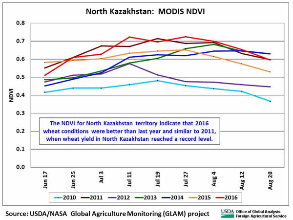 The NDVI for North Kazakhstan territory indicate that 2016 wheat conditions were better than last year and similar to 2011, when wheat yield in North Kazakhstan reached a record level.
