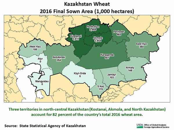 Three territories in north-central Kazakhstan (Kostanai, Akmola, and North Kazakhstan) account for 82 percent of the country’s total 2016 wheat area. 
