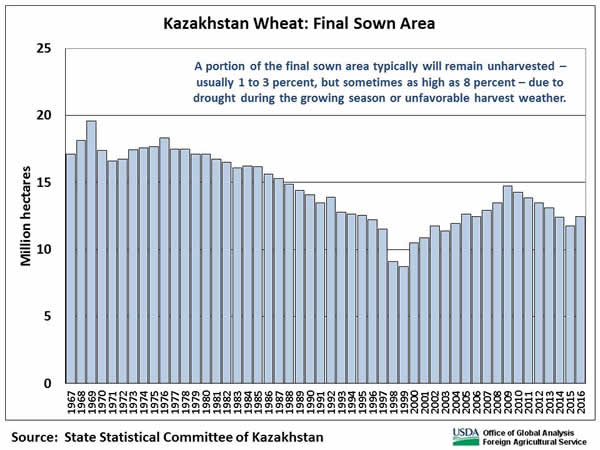 Kazakhstan wheat area peaked in 1969 at almost 20 million hectares, then declined for about 30 years.  Current area is 12.4 million hectares.
