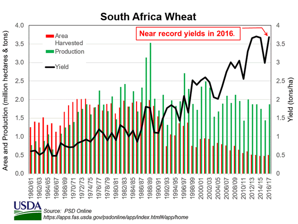 South Africa Wheat Production, Area and Yield