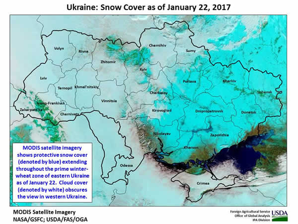 MODIS satellite imagery shows protective snow cover extending throughout the prime winter-wheat zone of eastern Ukraine as of January 22.  Cloud cover obscures the view in western Ukraine.
