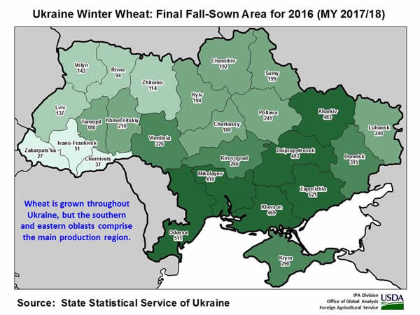 Wheat is grown throughout Ukraine, but the southern and eastern oblasts comprise the main production region.