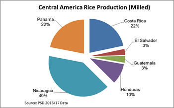 Rice Production