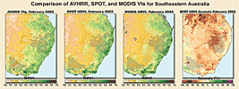 Comparison of AVHRR, SPOT, and MODIS VIs — view enlarged image.