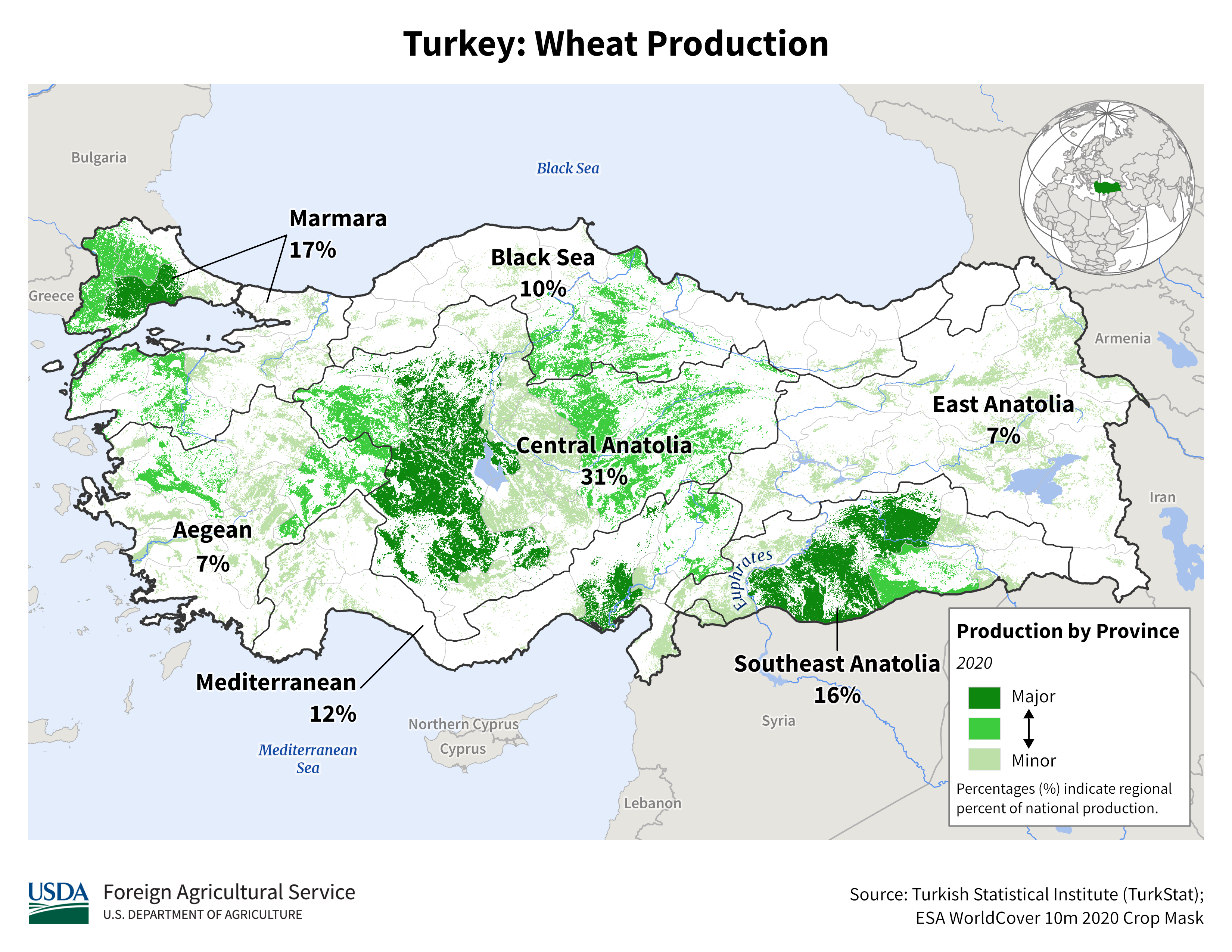 Turkey_wheat