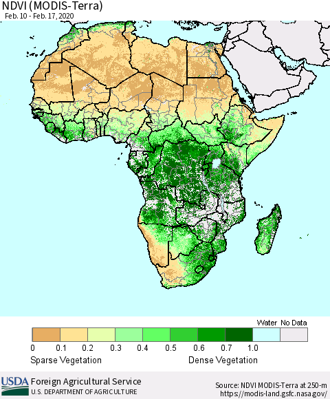 Africa NDVI (Terra-MODIS) Thematic Map For 2/11/2020 - 2/20/2020