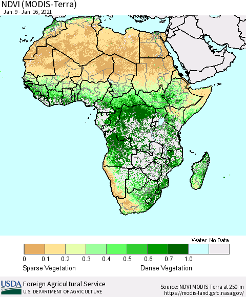 Africa NDVI (Terra-MODIS) Thematic Map For 1/11/2021 - 1/20/2021
