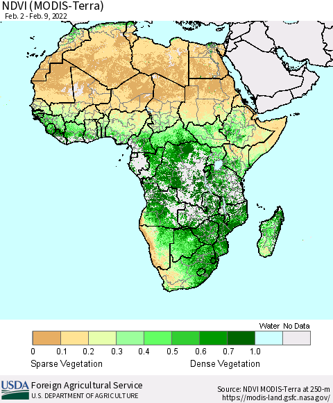 Africa NDVI (Terra-MODIS) Thematic Map For 2/1/2022 - 2/10/2022