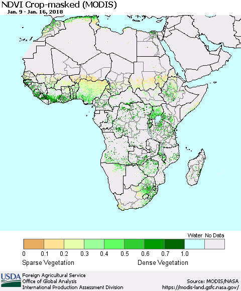 Africa Cropland NDVI (Terra-MODIS) Thematic Map For 1/11/2018 - 1/20/2018