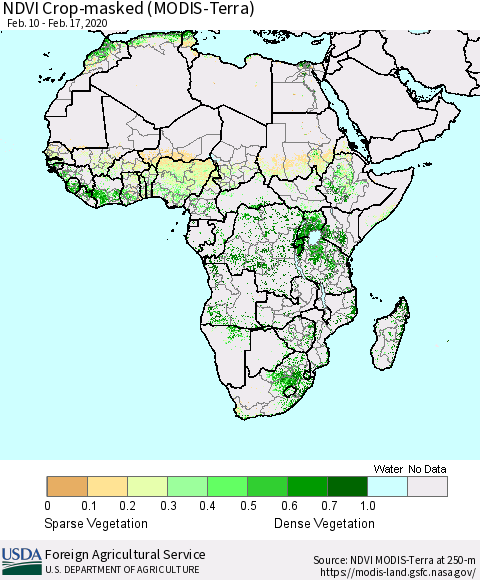 Africa Cropland NDVI (Terra-MODIS) Thematic Map For 2/11/2020 - 2/20/2020