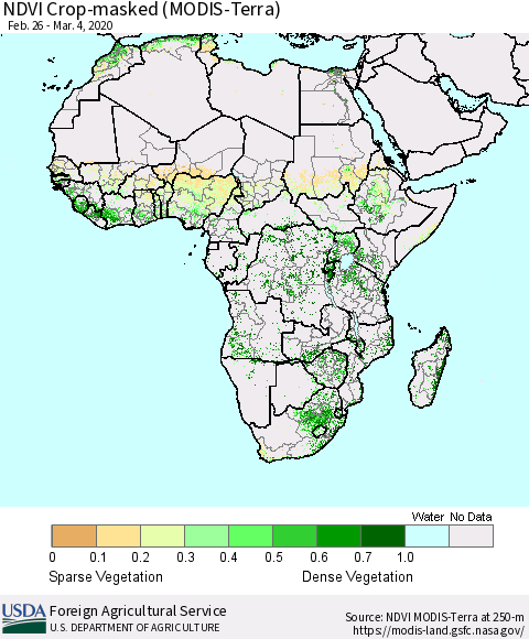 Africa Cropland NDVI (Terra-MODIS) Thematic Map For 3/1/2020 - 3/10/2020