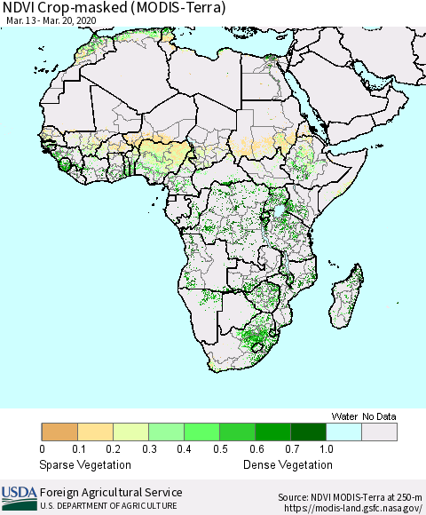 Africa Cropland NDVI (Terra-MODIS) Thematic Map For 3/11/2020 - 3/20/2020