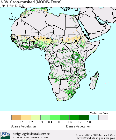 Africa Cropland NDVI (Terra-MODIS) Thematic Map For 4/11/2020 - 4/20/2020