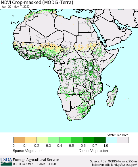 Africa Cropland NDVI (Terra-MODIS) Thematic Map For 5/1/2020 - 5/10/2020