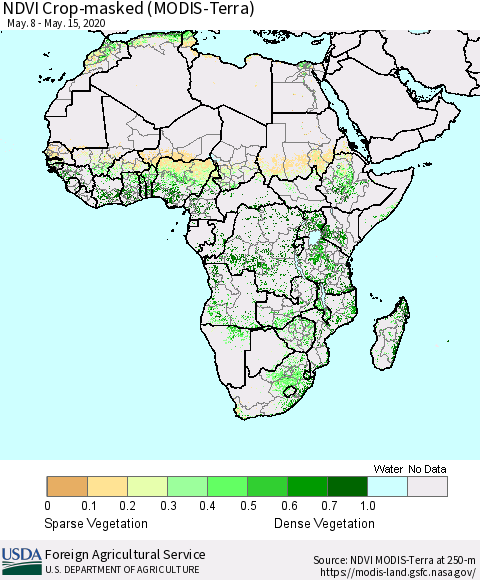 Africa Cropland NDVI (Terra-MODIS) Thematic Map For 5/11/2020 - 5/20/2020