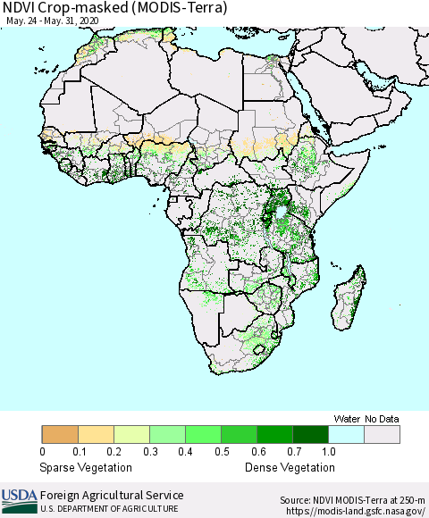 Africa Cropland NDVI (Terra-MODIS) Thematic Map For 5/21/2020 - 5/31/2020