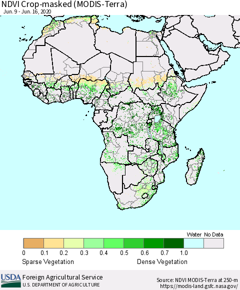Africa Cropland NDVI (Terra-MODIS) Thematic Map For 6/11/2020 - 6/20/2020