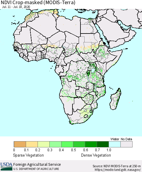Africa Cropland NDVI (Terra-MODIS) Thematic Map For 7/11/2020 - 7/20/2020