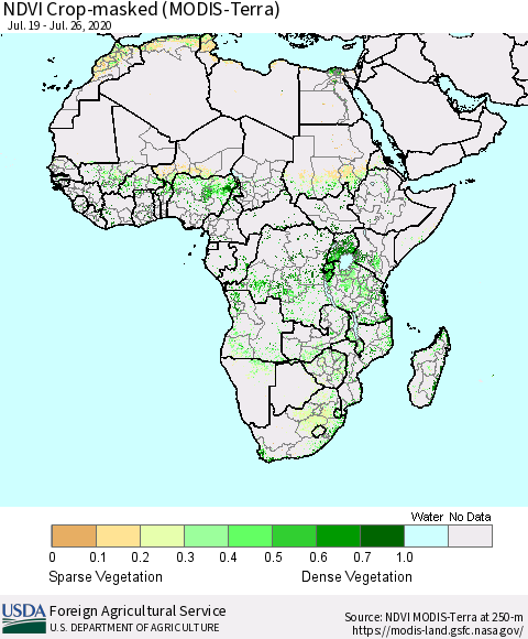 Africa Cropland NDVI (Terra-MODIS) Thematic Map For 7/21/2020 - 7/31/2020