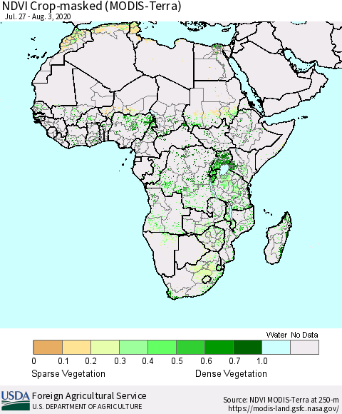 Africa Cropland NDVI (Terra-MODIS) Thematic Map For 8/1/2020 - 8/10/2020