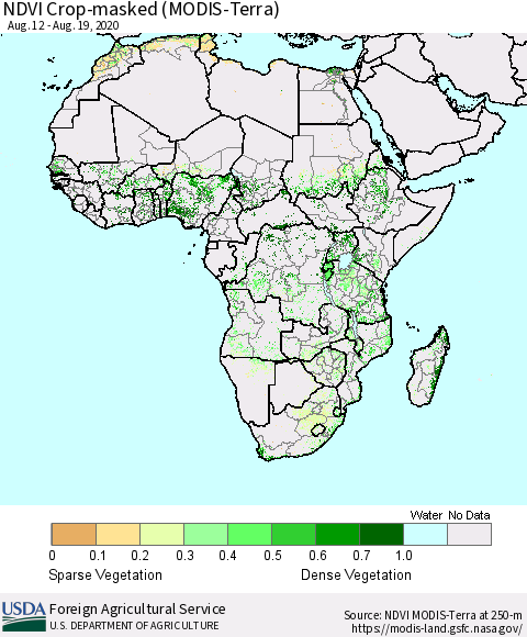Africa Cropland NDVI (Terra-MODIS) Thematic Map For 8/11/2020 - 8/20/2020
