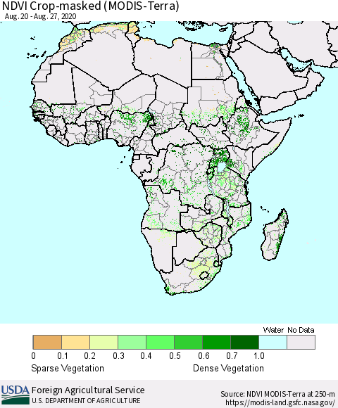 Africa Cropland NDVI (Terra-MODIS) Thematic Map For 8/21/2020 - 8/31/2020