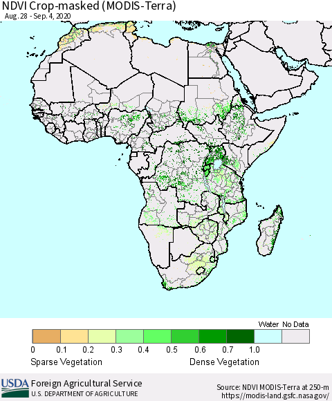 Africa Cropland NDVI (Terra-MODIS) Thematic Map For 9/1/2020 - 9/10/2020