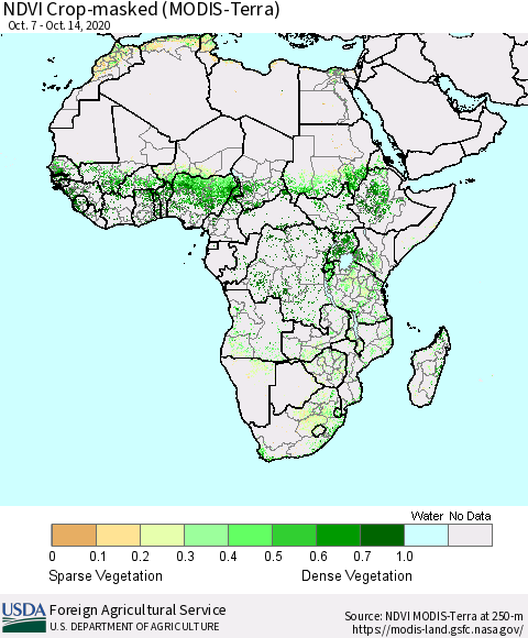 Africa Cropland NDVI (Terra-MODIS) Thematic Map For 10/11/2020 - 10/20/2020