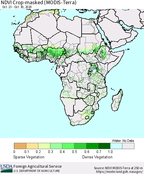 Africa Cropland NDVI (Terra-MODIS) Thematic Map For 10/21/2020 - 10/31/2020