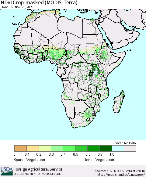 Africa Cropland NDVI (Terra-MODIS) Thematic Map For 11/21/2020 - 11/30/2020