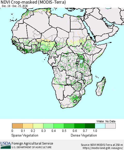 Africa Cropland NDVI (Terra-MODIS) Thematic Map For 12/21/2020 - 12/31/2020