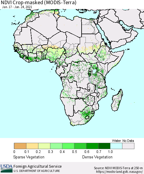 Africa Cropland NDVI (Terra-MODIS) Thematic Map For 1/21/2021 - 1/31/2021