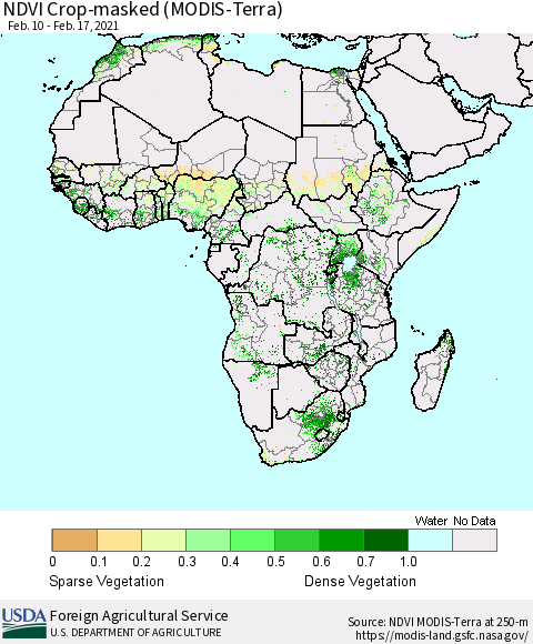 Africa Cropland NDVI (Terra-MODIS) Thematic Map For 2/11/2021 - 2/20/2021