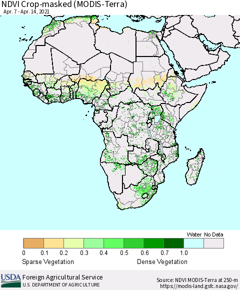 Africa Cropland NDVI (Terra-MODIS) Thematic Map For 4/11/2021 - 4/20/2021