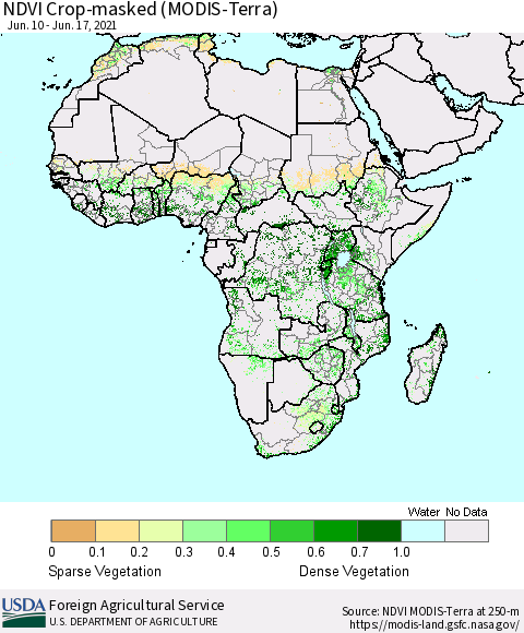 Africa Cropland NDVI (Terra-MODIS) Thematic Map For 6/11/2021 - 6/20/2021
