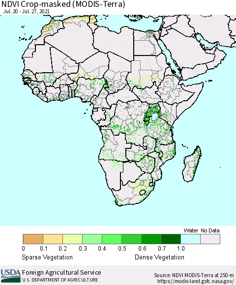 Africa Cropland NDVI (Terra-MODIS) Thematic Map For 7/21/2021 - 7/31/2021