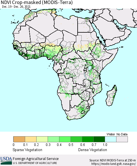 Africa Cropland NDVI (Terra-MODIS) Thematic Map For 12/21/2021 - 12/31/2021