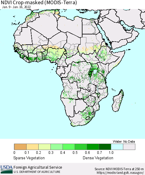 Africa Cropland NDVI (Terra-MODIS) Thematic Map For 1/11/2022 - 1/20/2022