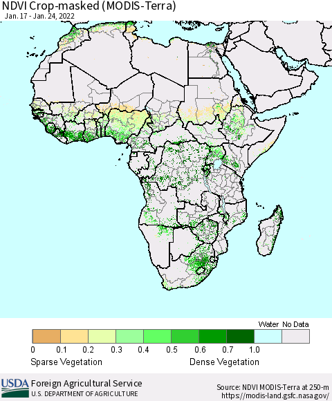 Africa Cropland NDVI (Terra-MODIS) Thematic Map For 1/21/2022 - 1/31/2022