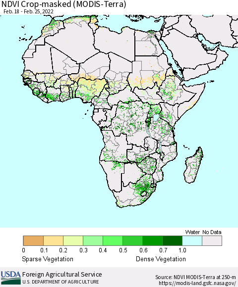 Africa Cropland NDVI (Terra-MODIS) Thematic Map For 2/21/2022 - 2/28/2022